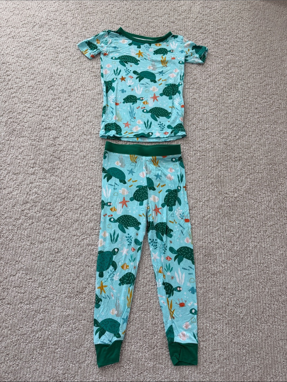 Little Sleepies Sea Turtle Friends Short Sleeve and Pant Set